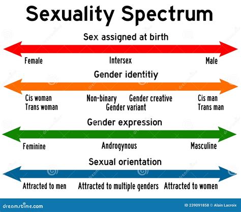 Sexuality spectrum. Things To Know About Sexuality spectrum. 